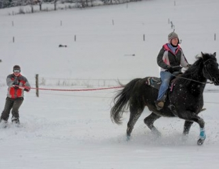  sci joering con l'Haras du Farban